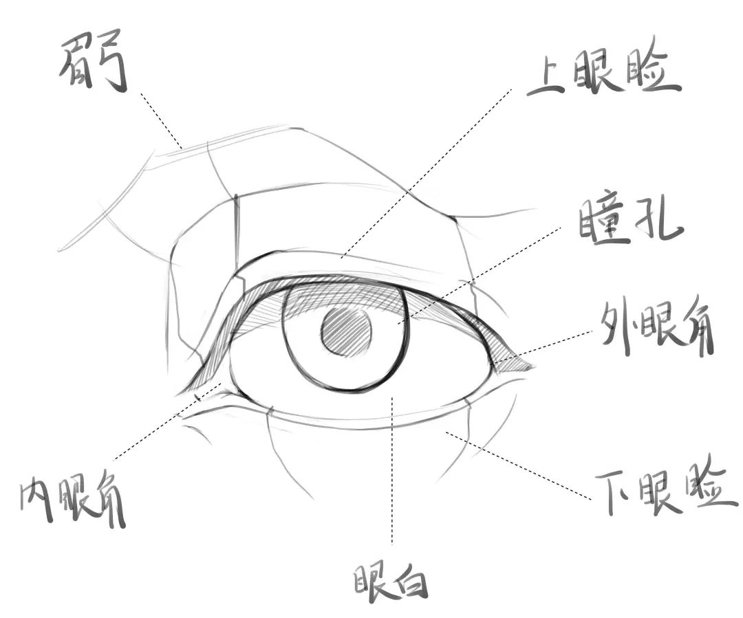 想把宇宙星辰的闪耀装进你的眼里