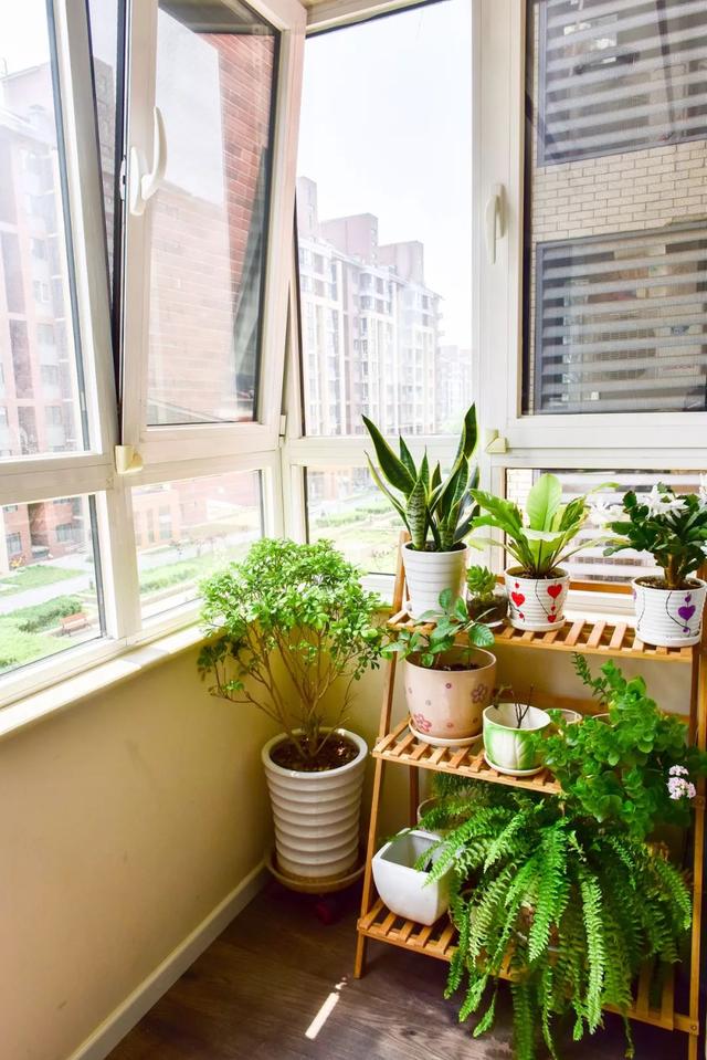 十张阳台美图告诉你好看的阳台花园各有各的美