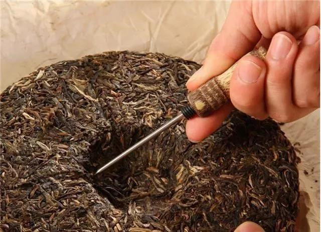 普洱茶的魅力:外形特征解析