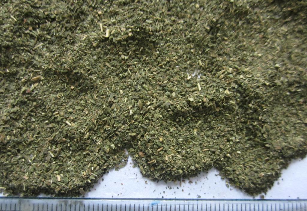 蛋白桑畜禽业饲料中的翘楚