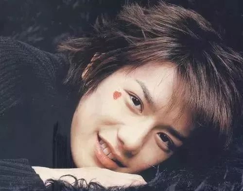 从红遍亚洲的花美男变成霸道总裁他能重生日本偶像帝国吗