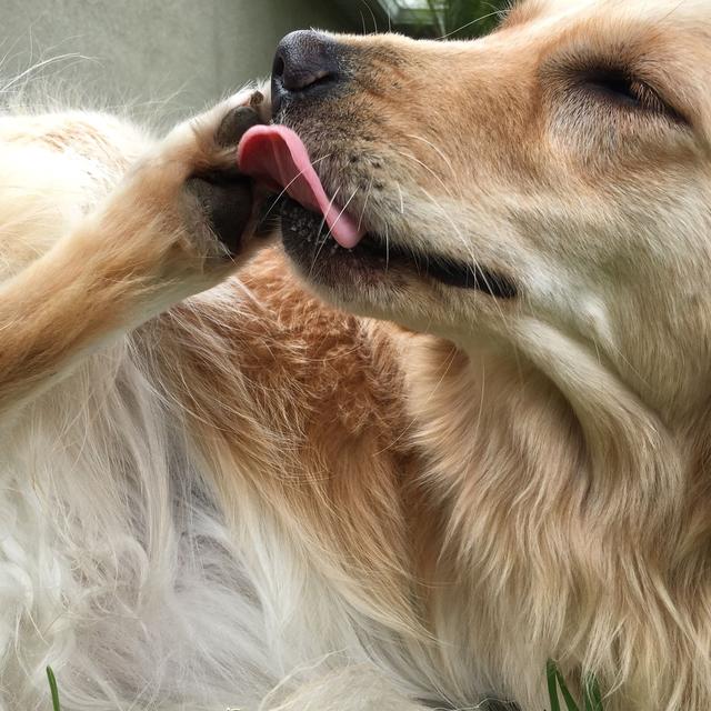 来自搜狐网