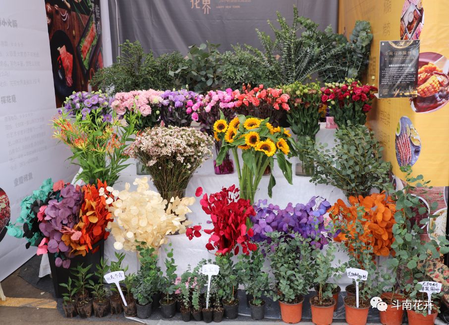 第二十届中国昆明国际花卉展斗南分会场圆满落幕