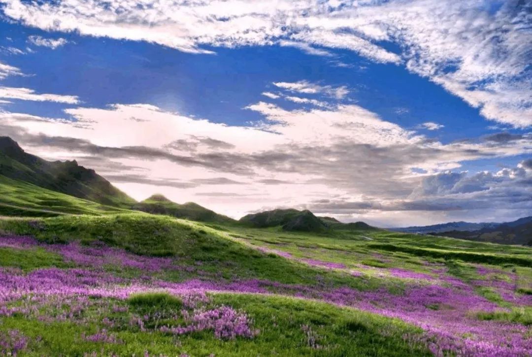 游走锦绣都兰探秘九层妖塔徒步挑战赛报名了