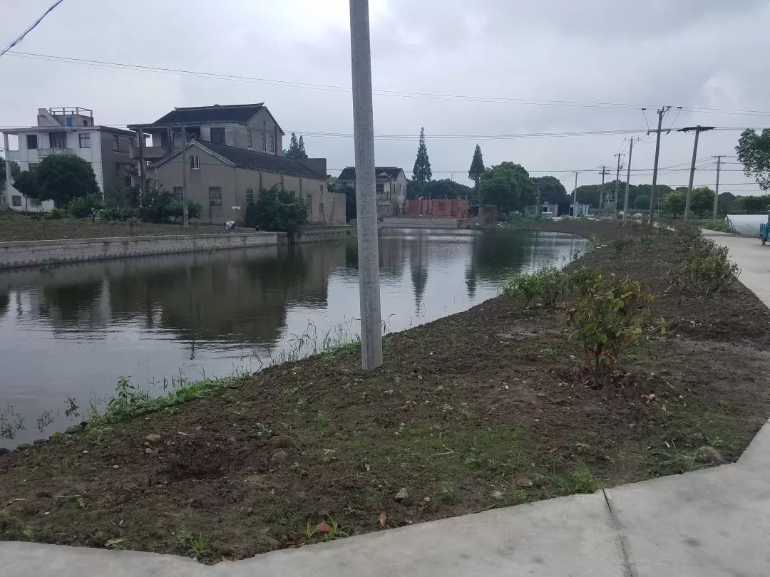 董浜镇智林村蒲场宅基03董浜镇旗杆村朝南巷宅基02古里镇李市村沈家湾