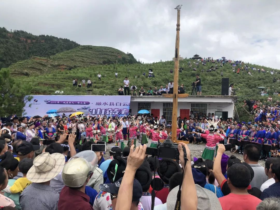 跟着广播去扶贫 || 峰之蓝61蓝莓节 甜美"蓝"不住_高兰村