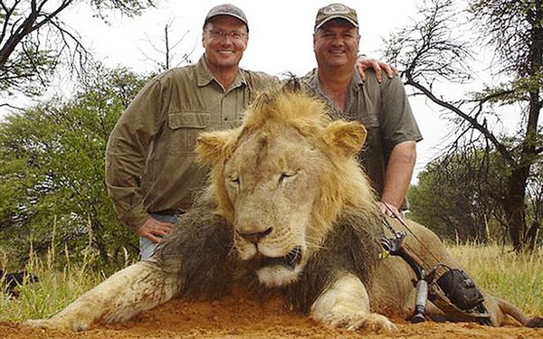 残忍!加拿大夫妻猎杀狮子后拍照发到网上炫耀