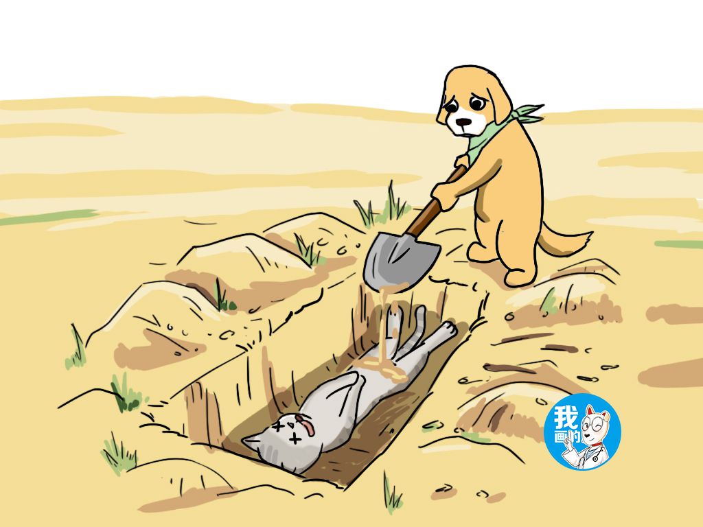 原创男子发现流浪狗嘴里叼着猫咪跟去一看却不禁落泪安息吧