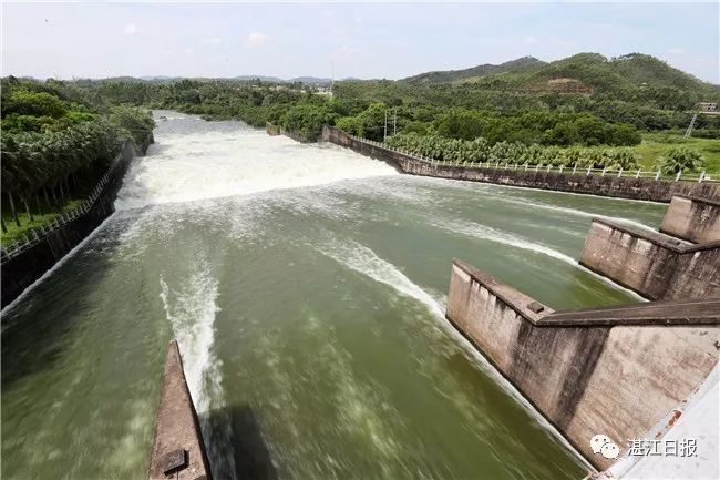 江鹤地水库是湛江百姓饮水的大水缸,与散布全市的合流水库,赤坎水库