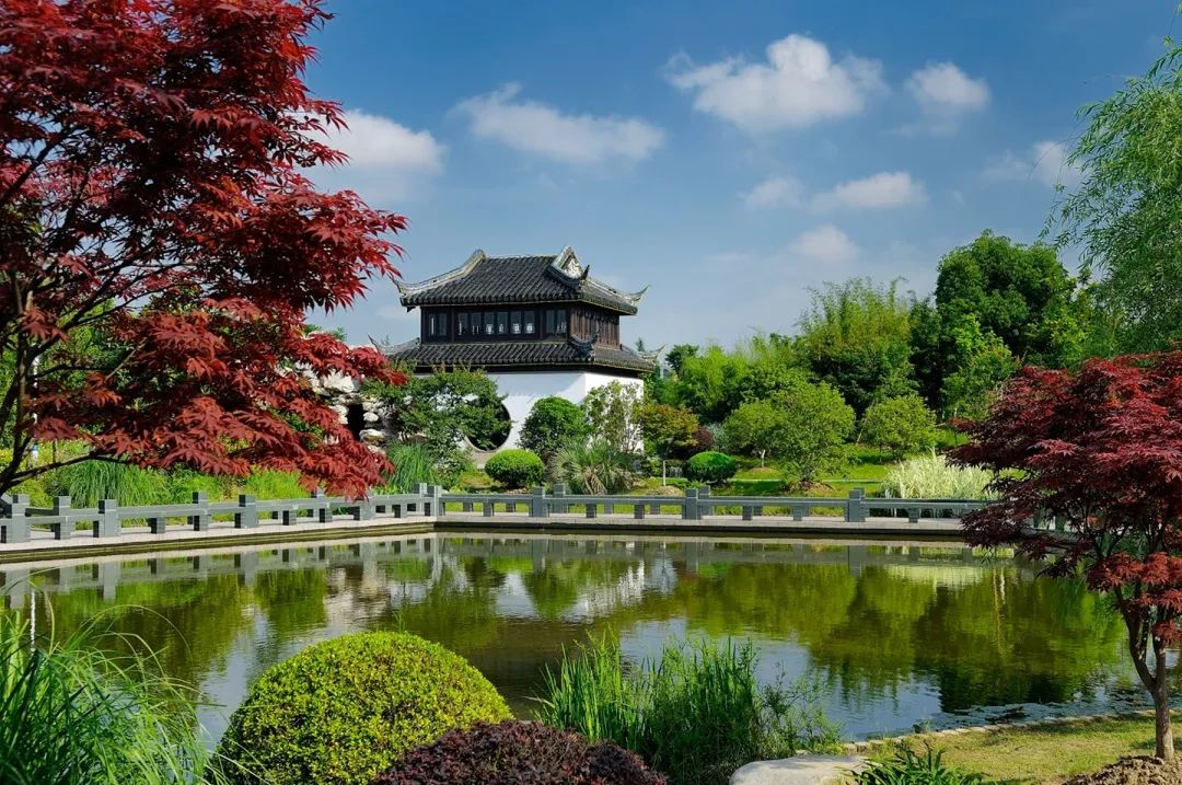 花桥30000米慢行步道,约享慢生活!_公园