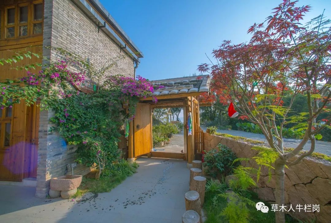 发现好民宿民宿有很多草木人只有一家