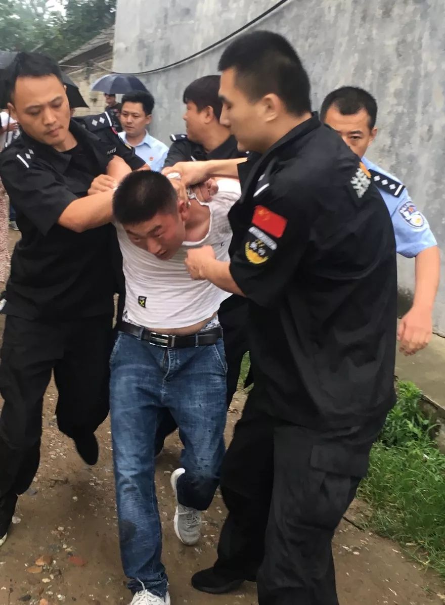 执行干警合力将张某制服 押上警车虽然张某最终被实施了拘留,但其暴力