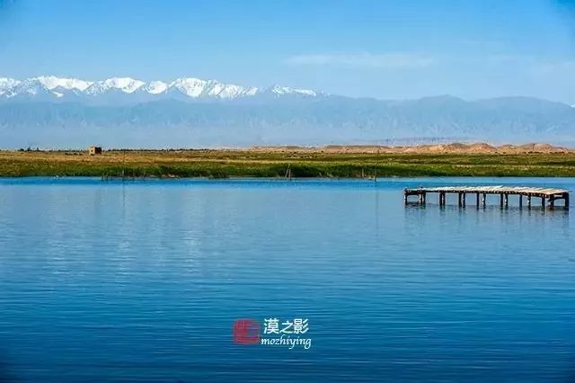 花城湖位于酒泉市区东北方向23公里处,素有"第二个月牙泉"之称.