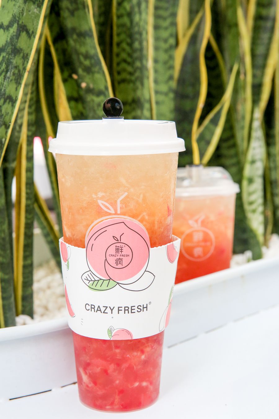 泉州多肉蜜桃茶来了只卖30天又嗲又贵还让人排队