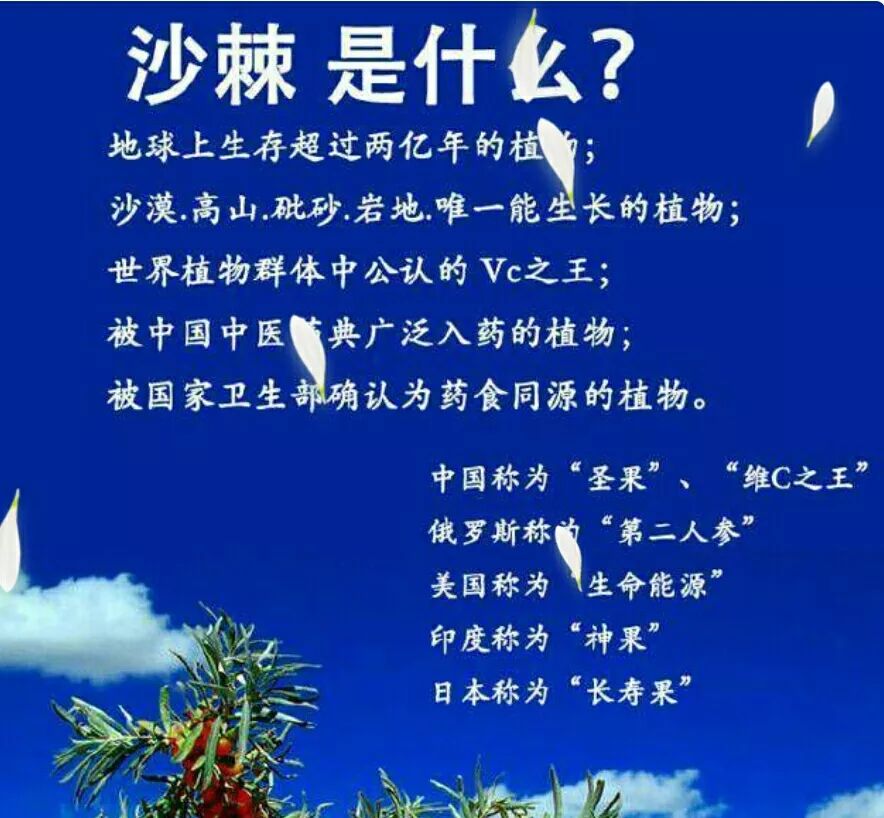 长期服用沙棘女性身体从内到外会发生变化美白祛斑乳腺结节便秘失眠
