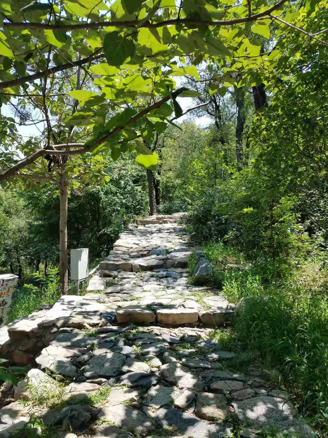 京郊爬山綠色出行橫穿陽臺山至鷲峰國家森林公園拍客旅行