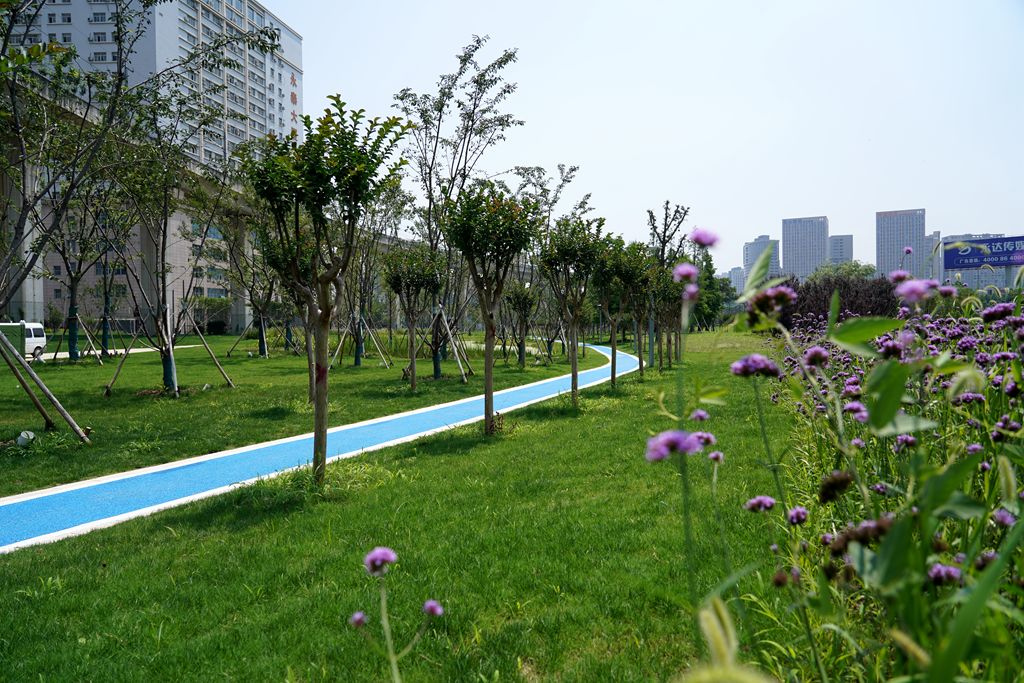 7万平方米,是镶嵌于花桥服务外包区的特色城市绿带.