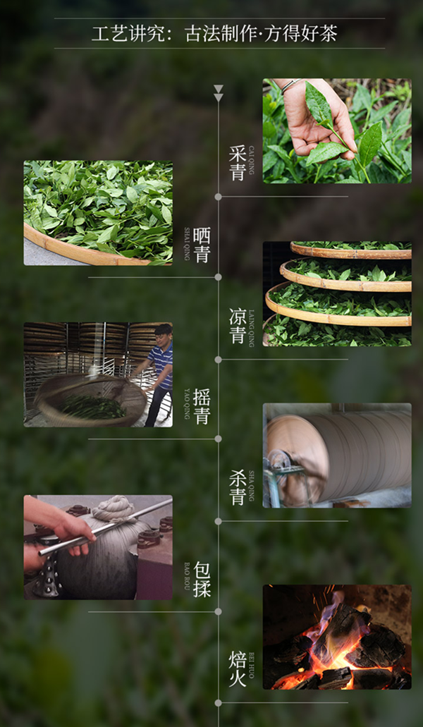 晒青绿茶工艺制作过程图片