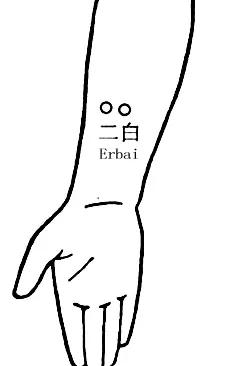 二白可止痛,升陷,是治疗痔疮的特效穴承山穴在腓肠肌两肌腹交界下端