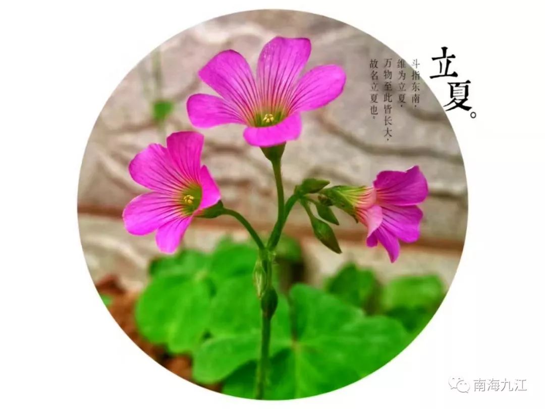 九江二十四节气,美到窒息!这就是我家!_社区