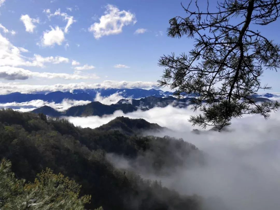 太白這個終年雲霧繚繞的村落,夏天只有19℃,原始森林,熊貓保護區,奇幻