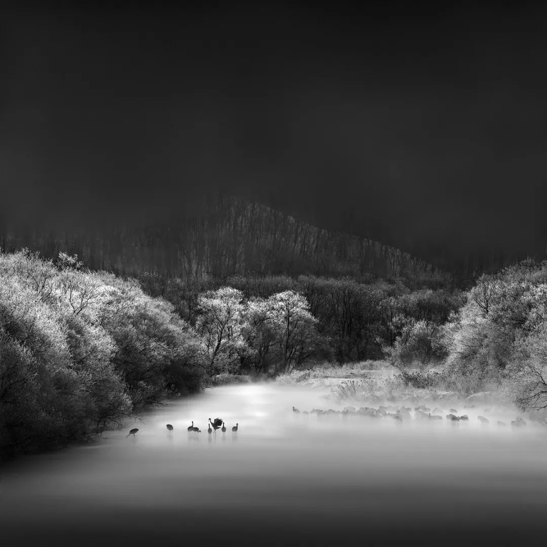 摄影以经典的黑白色调向大自然致敬