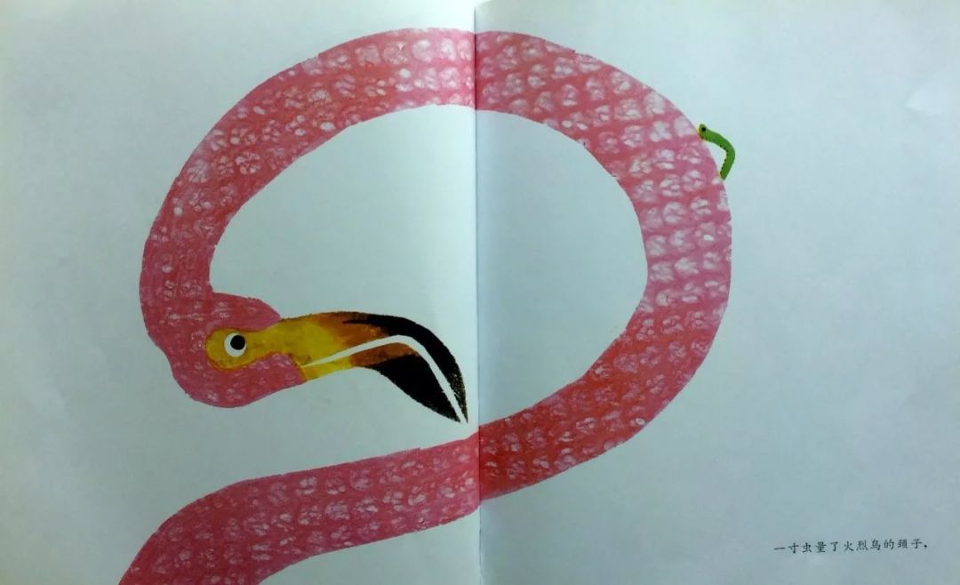 书评第5期一寸虫