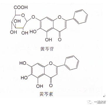 黄芩苷的结构中含有