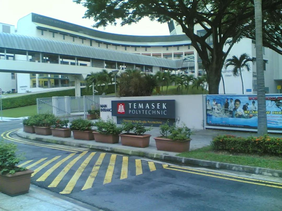 新加坡留学理工学院学生可通过工读计划直通大学