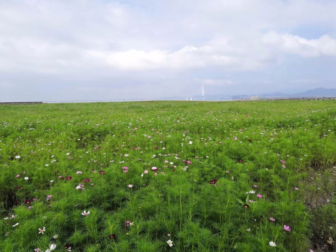 咸祥这儿集齐了沙滩花海酒店网友体验后有景区潜力