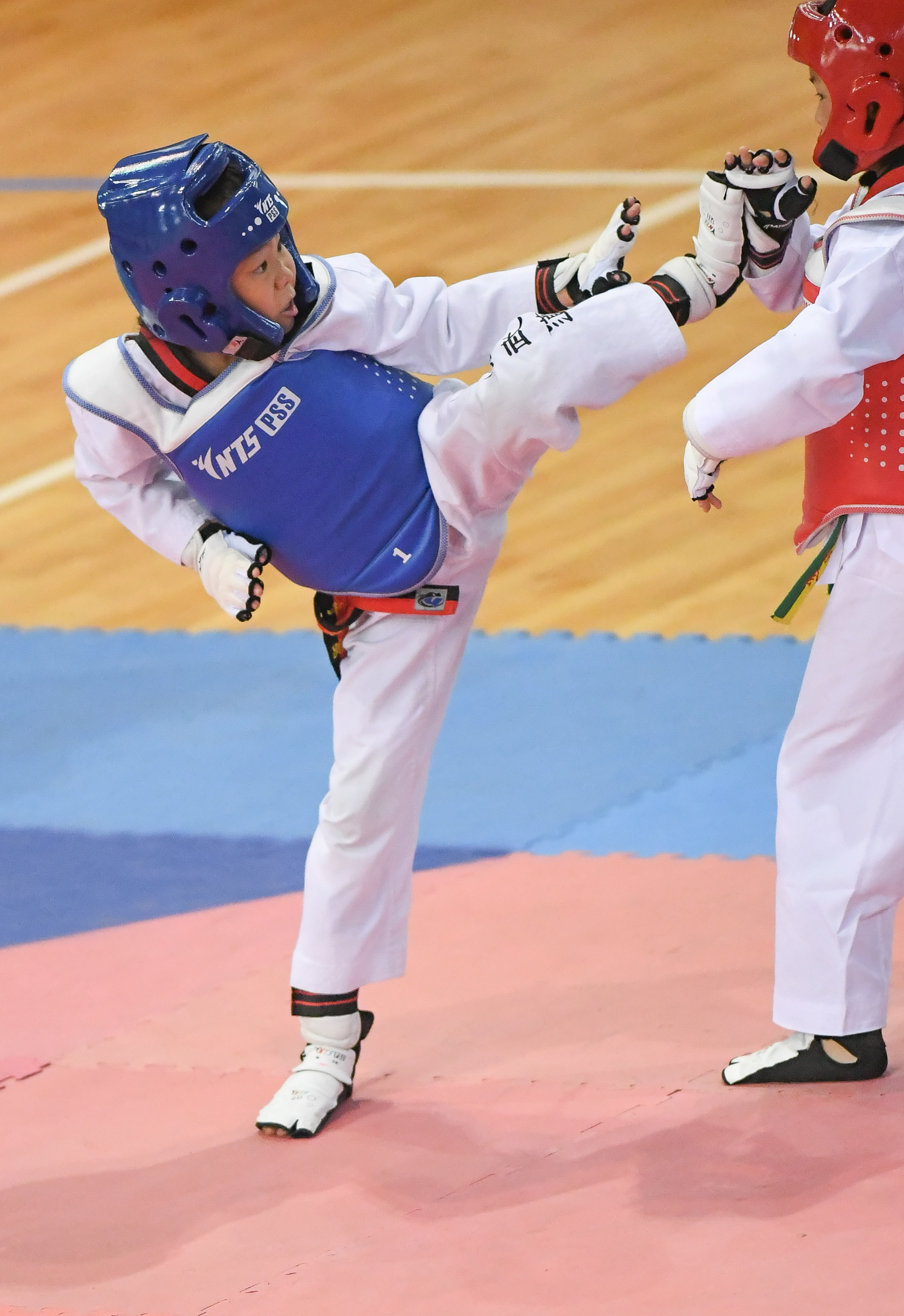 跆拳道快乐暑假踢踢踢