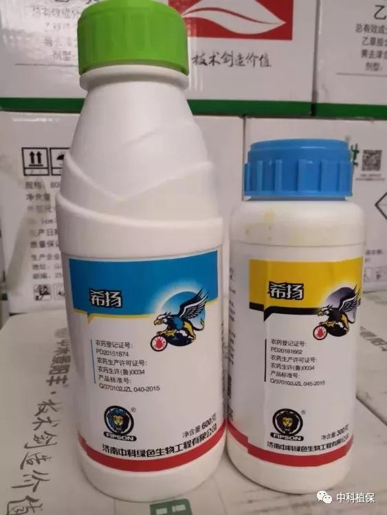 2019年杀螨剂生测实验--四川眉山