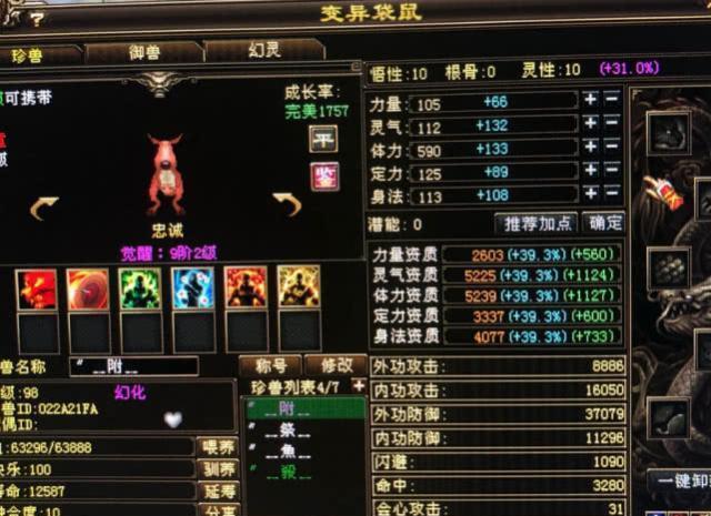 天龙八部:全服第一袋鼠,灵气体力资质均是5200,极品附体!