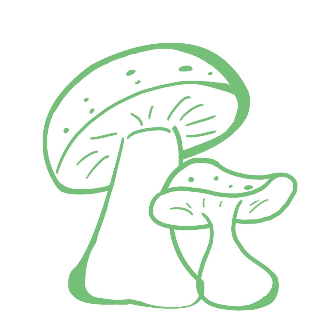 正大量上市爱吃它的达州人当心了已有10多人中毒