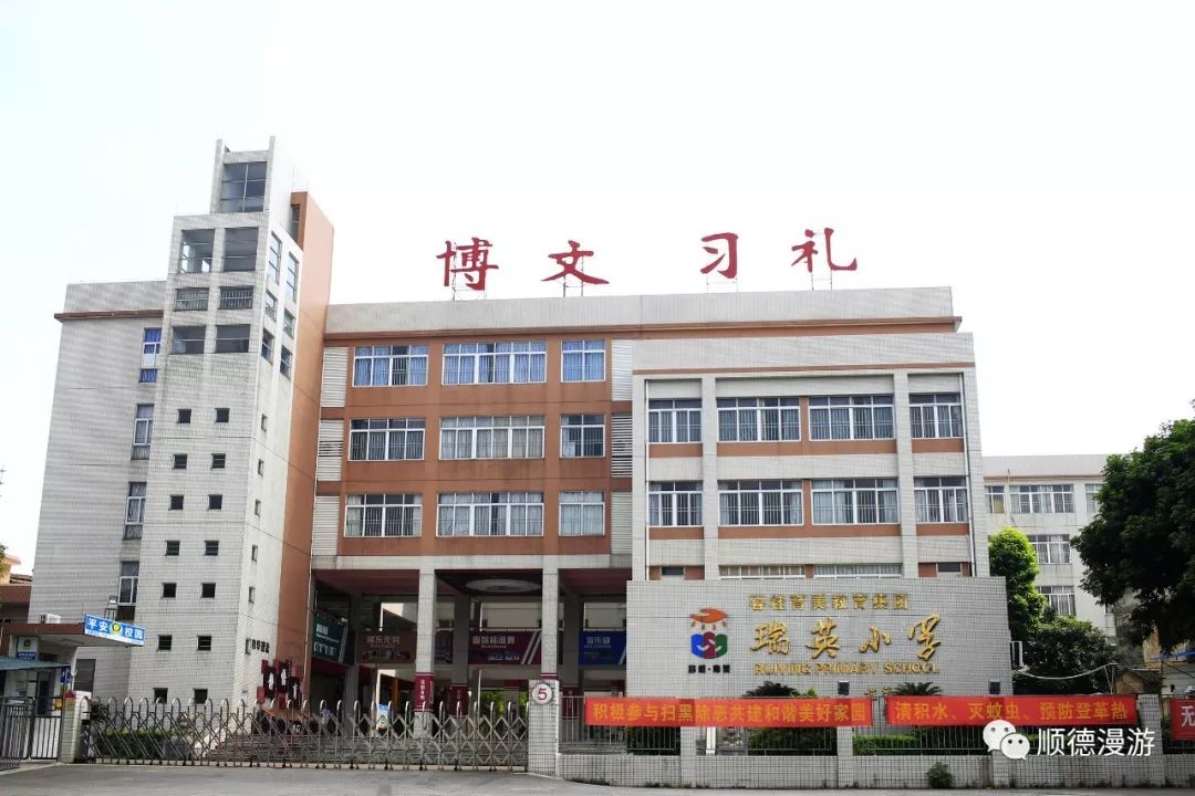 顺德容桂瑞英小学图片