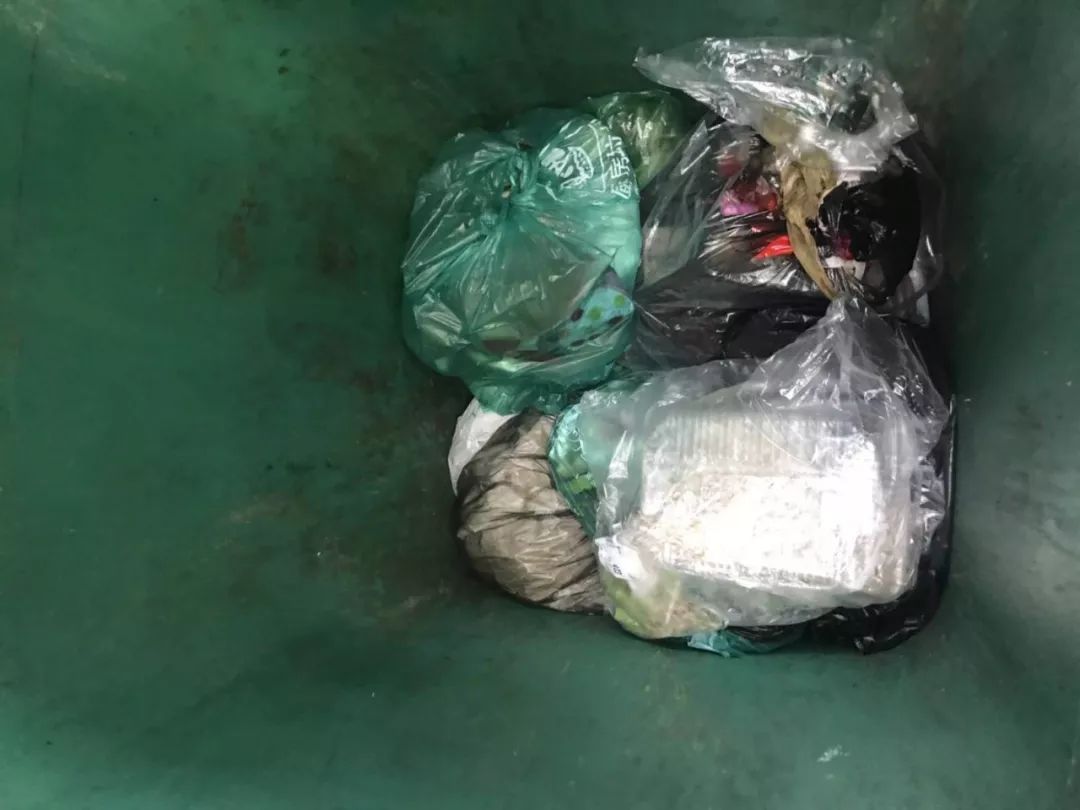 杭州市区生活垃圾分类6月考核结果出炉