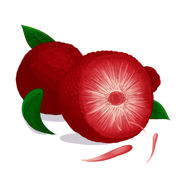 拉肚子赶紧来一杯杨梅酒