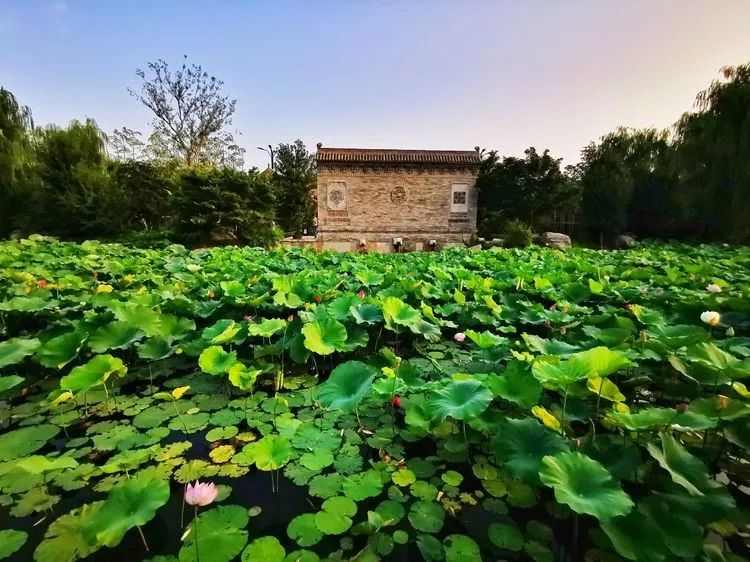 處05城北三里橋街心公園06濱河公園潁河岸邊07花園小鎮跑馬場大美潁上