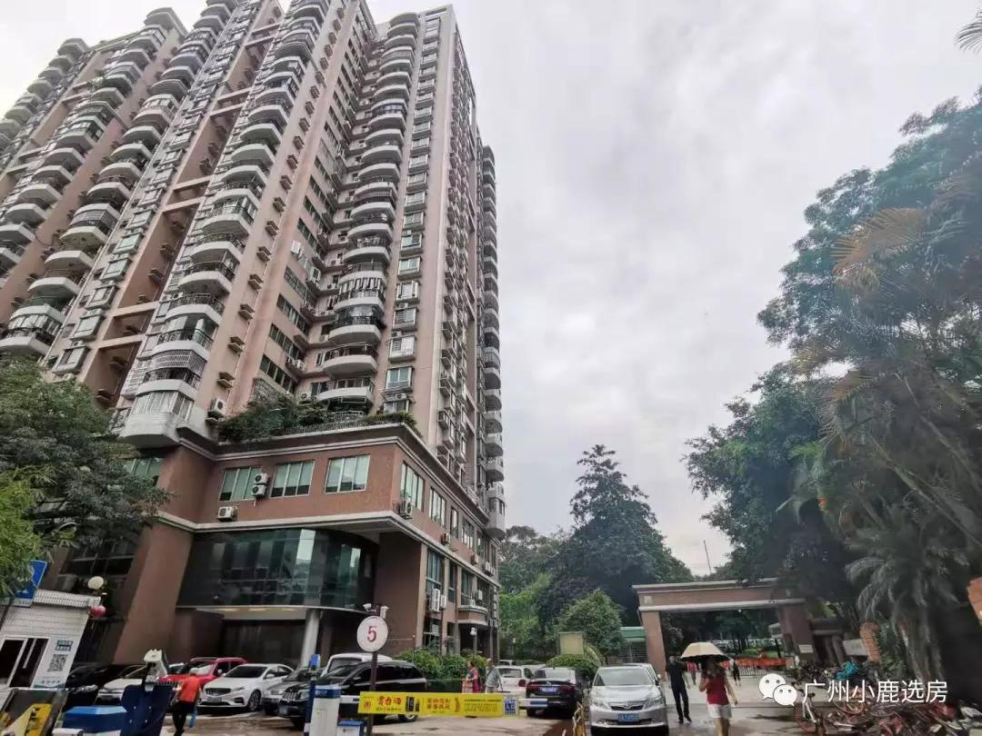 天河公园东门左侧的「仙湖名苑」买家冲着环境来的占大多数,刚需群