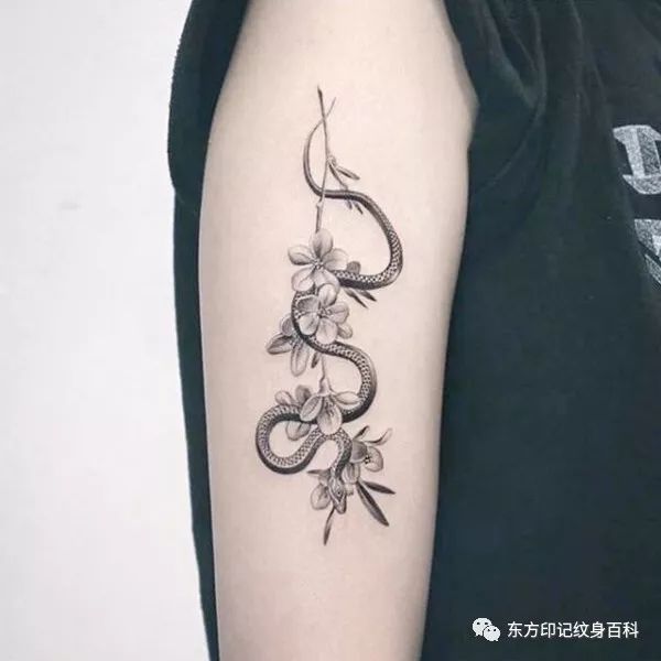 一点都不吓人的蛇纹身,反而有些可爱