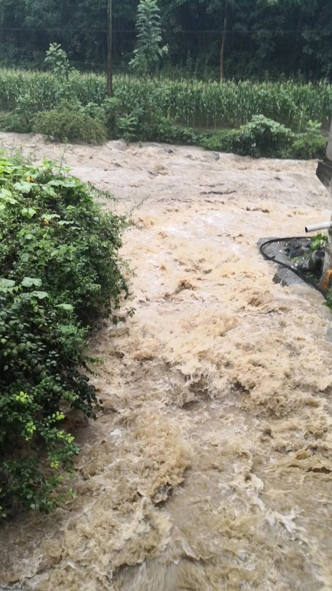 暴雨致安康山洪频发货船被冲走视频陕西这场大雨要下几天西安遇36年来