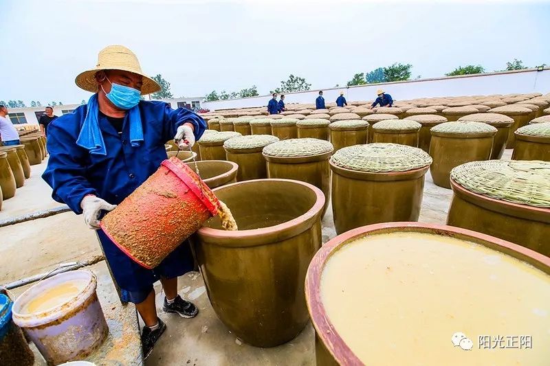 图说头伏酿醋正当时看看咱王勿桥醋如何酿造