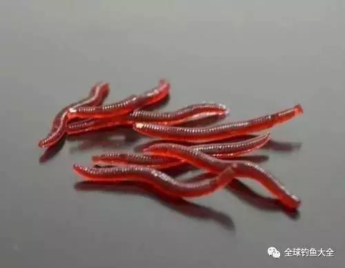 海鲜试吃|路亚软虫的选择与使用方式