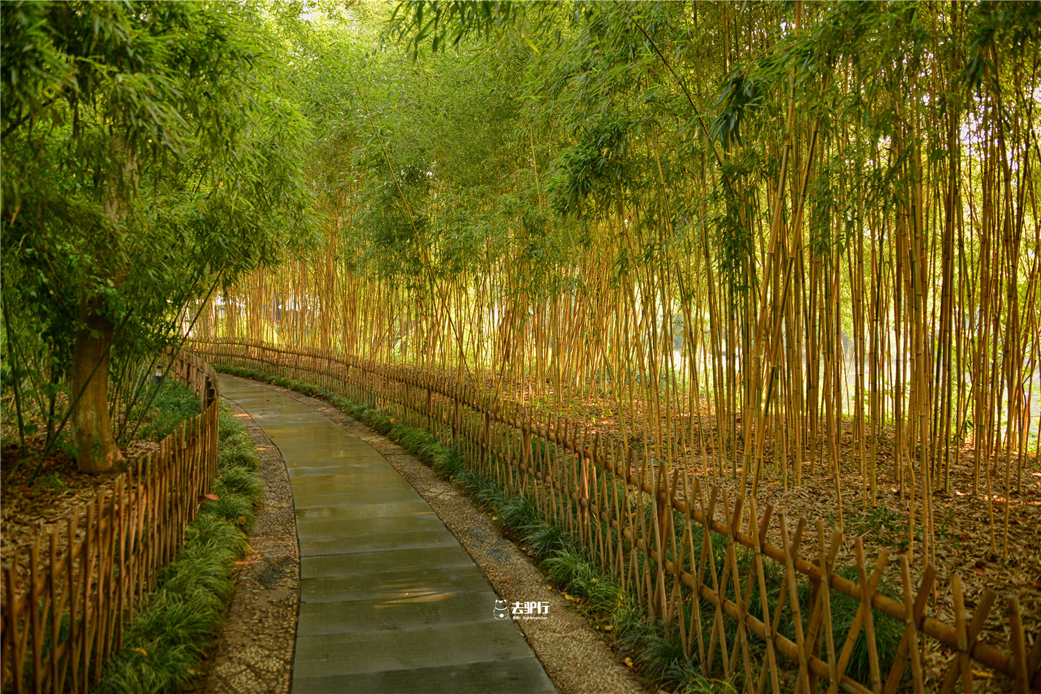 原创杭州资格最老的竹林皇帝都曾打卡过门票8元北方游客最多