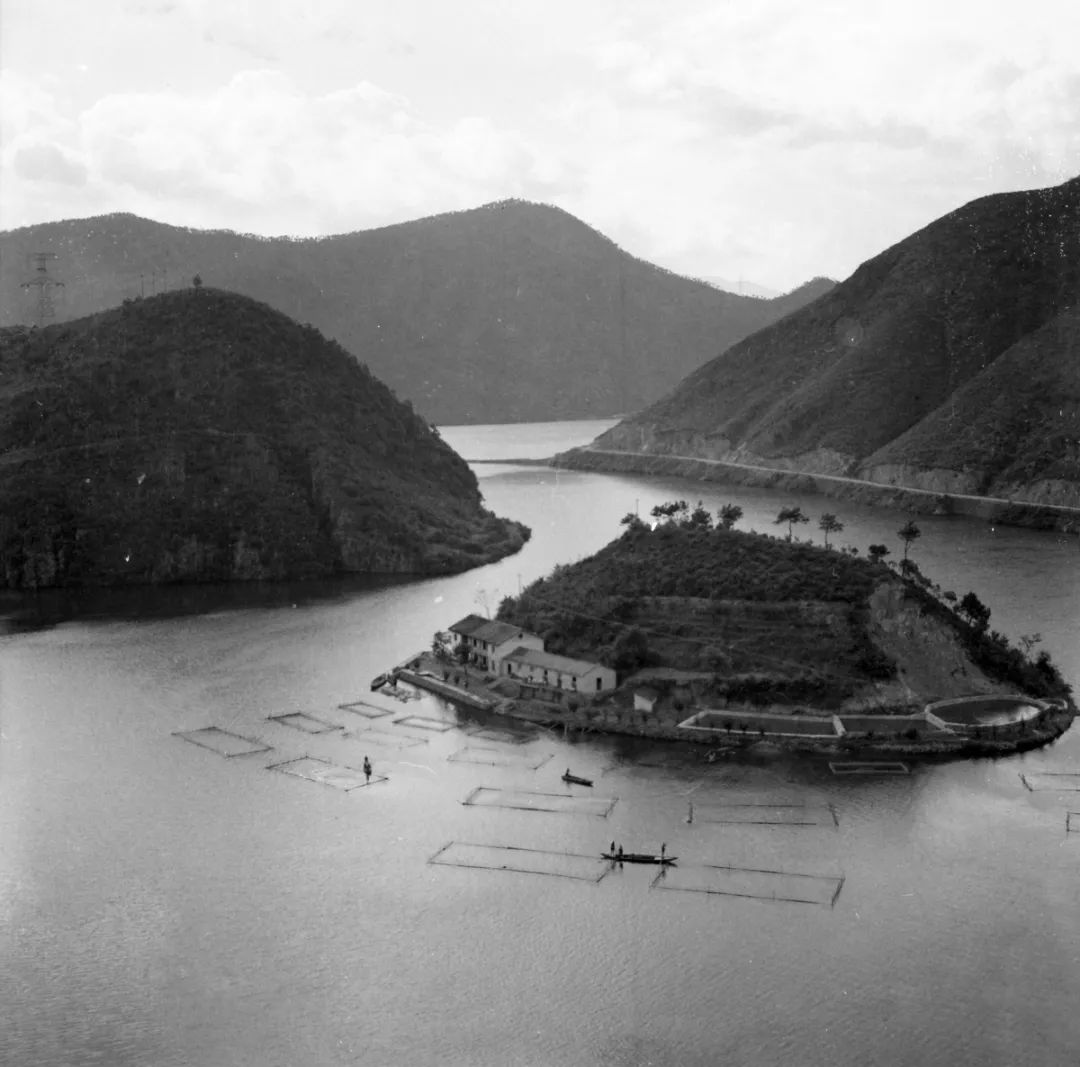大坝上游蓄水后芦茨埠码头,芦茨庙与芦茨村溪口一带形成了芦茨湾