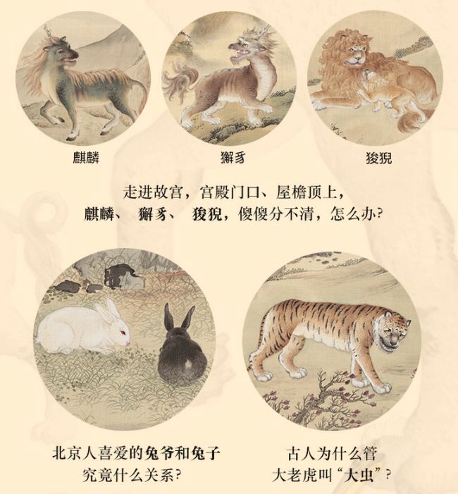 其中,《给孩子的清宫鸟谱》遵循鸟类学家郑光美先生的分类方法,解析不