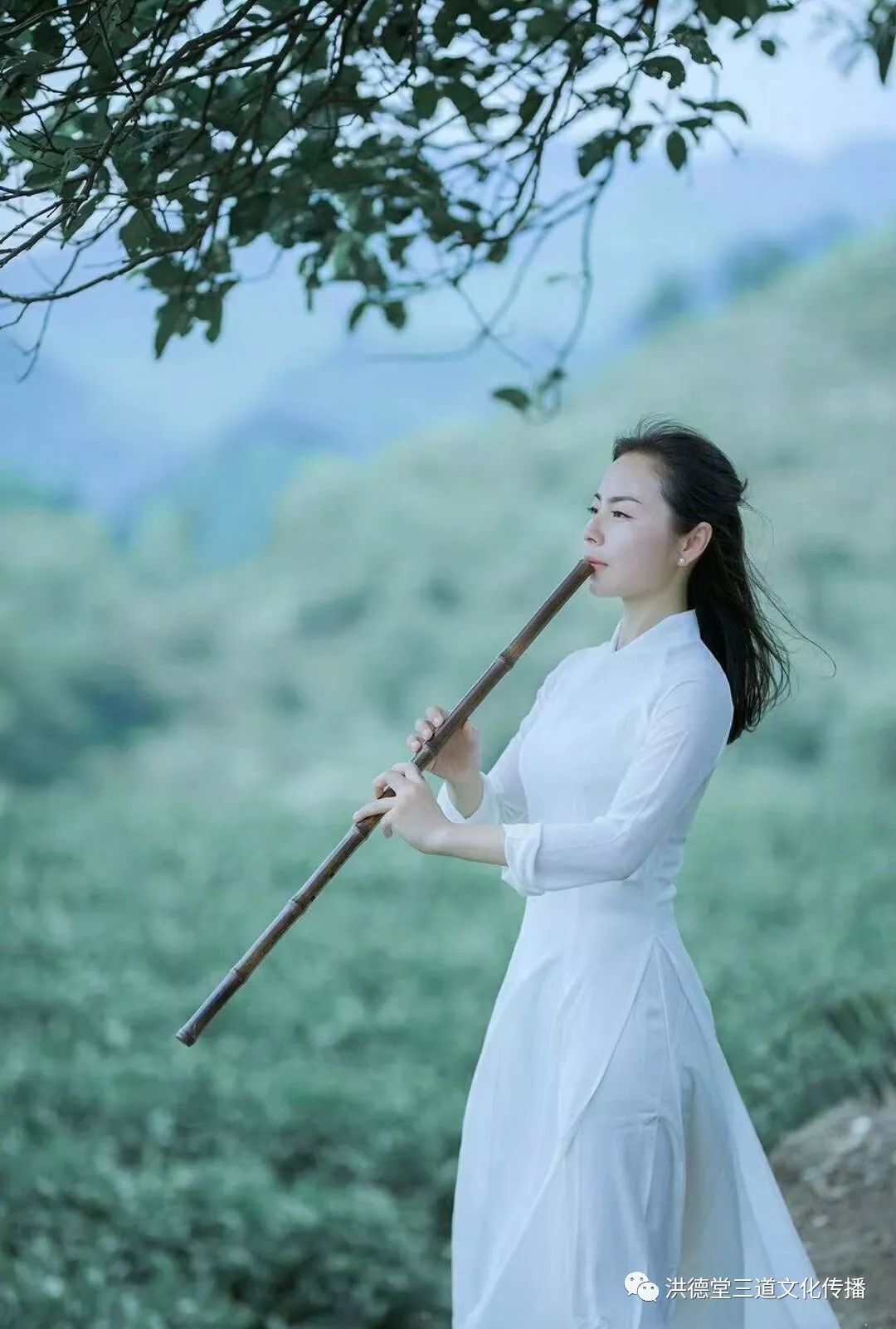 以茶修心,安顿自我_自已