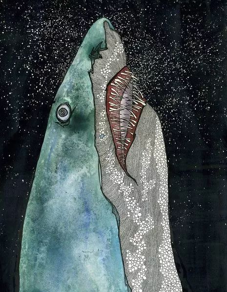 双雪涛宽吻赏读