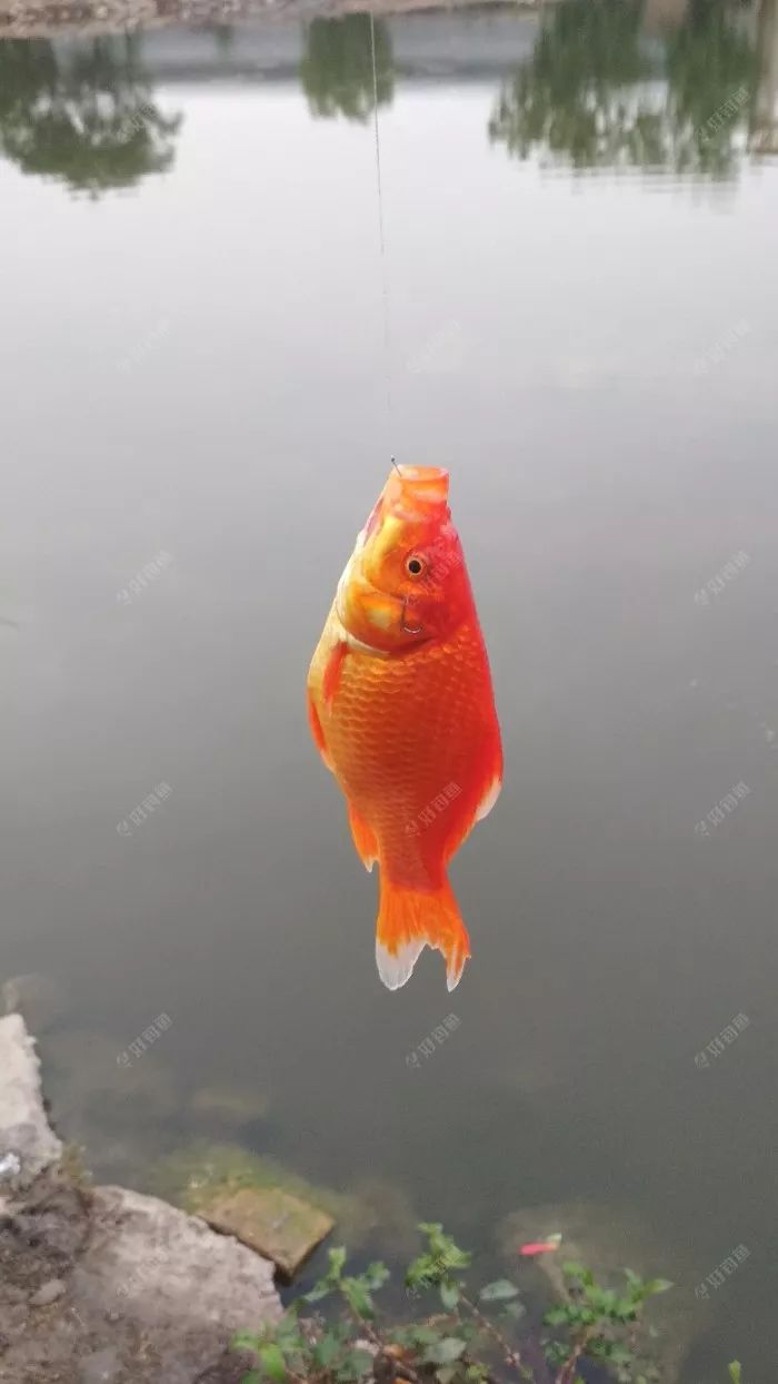 战队征战坑塘一人成功上岸