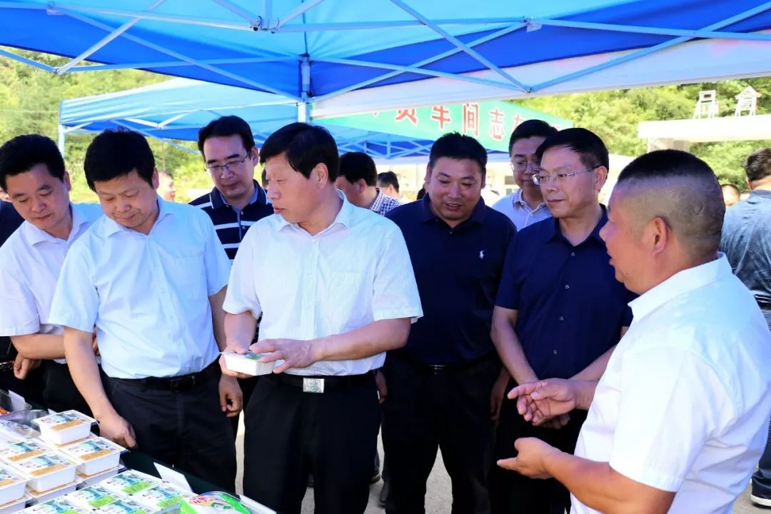 竹溪这个村出名了市县领导近百人来检阅